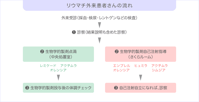 リウマチ外来患者さんの流れ